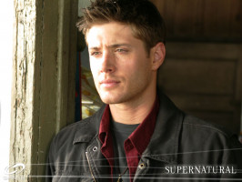 photo 18 in Jensen Ackles gallery [id90619] 2008-05-21