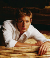 photo 14 in Ackles gallery [id91285] 2008-05-21