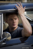 photo 25 in Jensen Ackles gallery [id117905] 2008-11-28