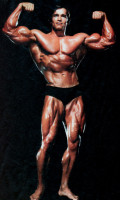 Arnold Schwarzenegger pic #66914