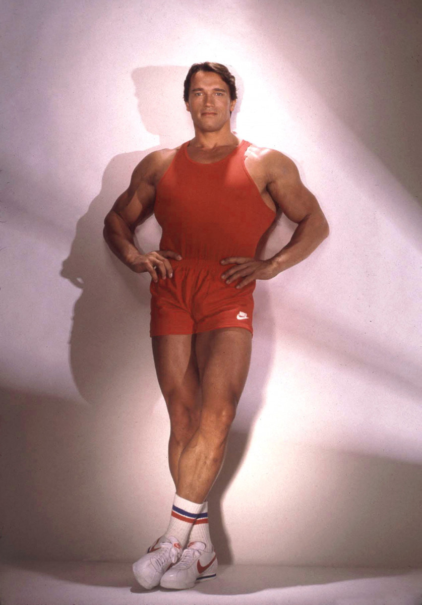 Arnold Schwarzenegger: pic #561452