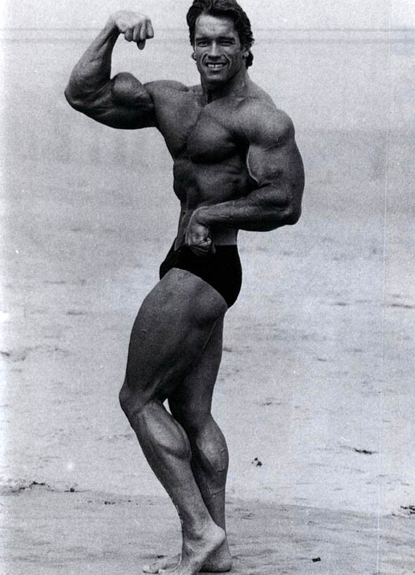 Arnold Schwarzenegger: pic #281399