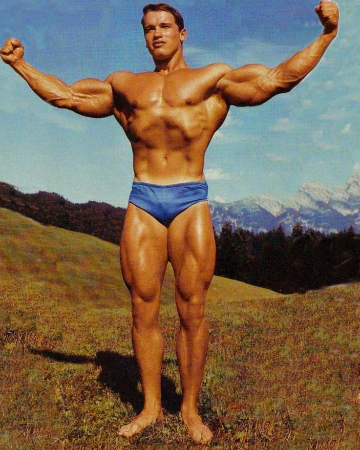 Arnold Schwarzenegger: pic #282460