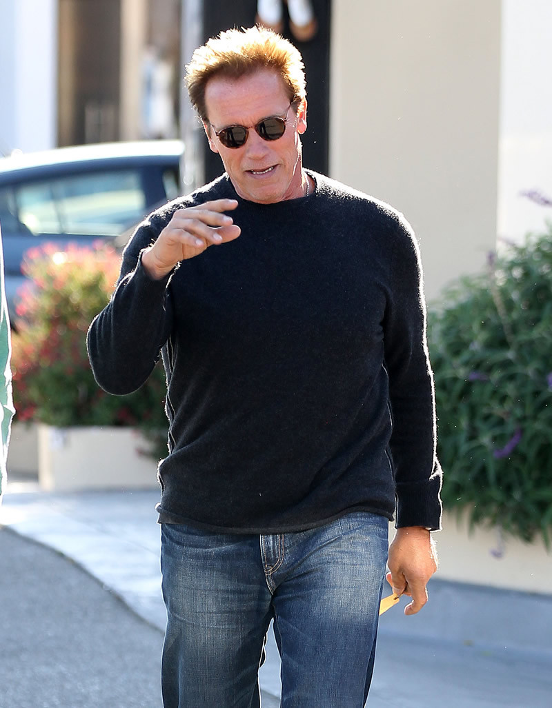Arnold Schwarzenegger: pic #515641