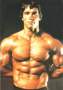 Arnold Schwarzenegger pic #835351