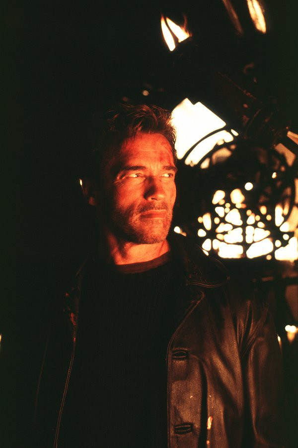 Arnold Schwarzenegger: pic #34620