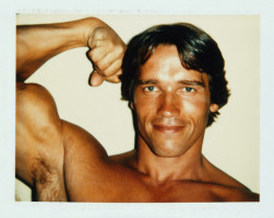 Arnold Schwarzenegger photo #