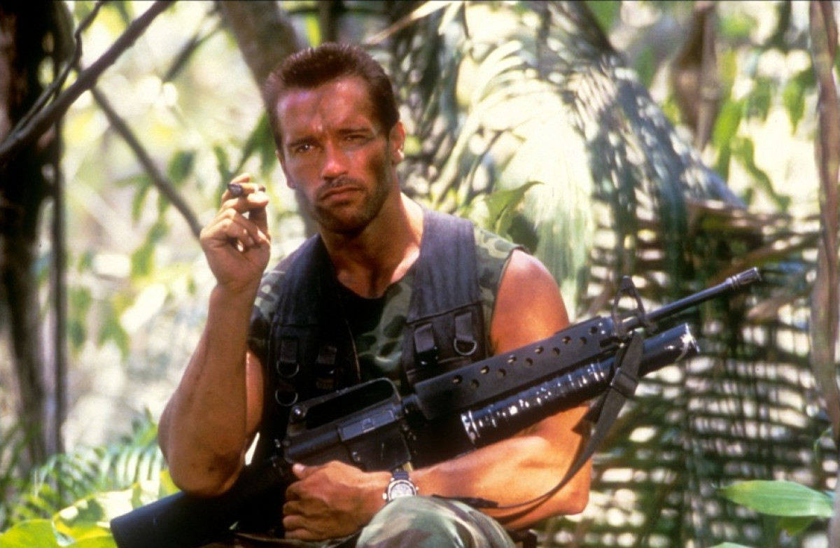 Arnold Schwarzenegger: pic #286834