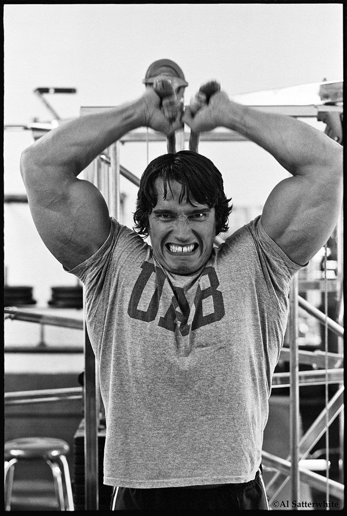 Arnold Schwarzenegger: pic #78932