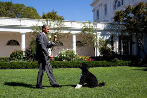 photo 6 in Barack Obama gallery [id607862] 2013-06-04