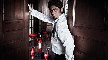 photo 10 in Benicio Del Toro gallery [id313665] 2010-12-15