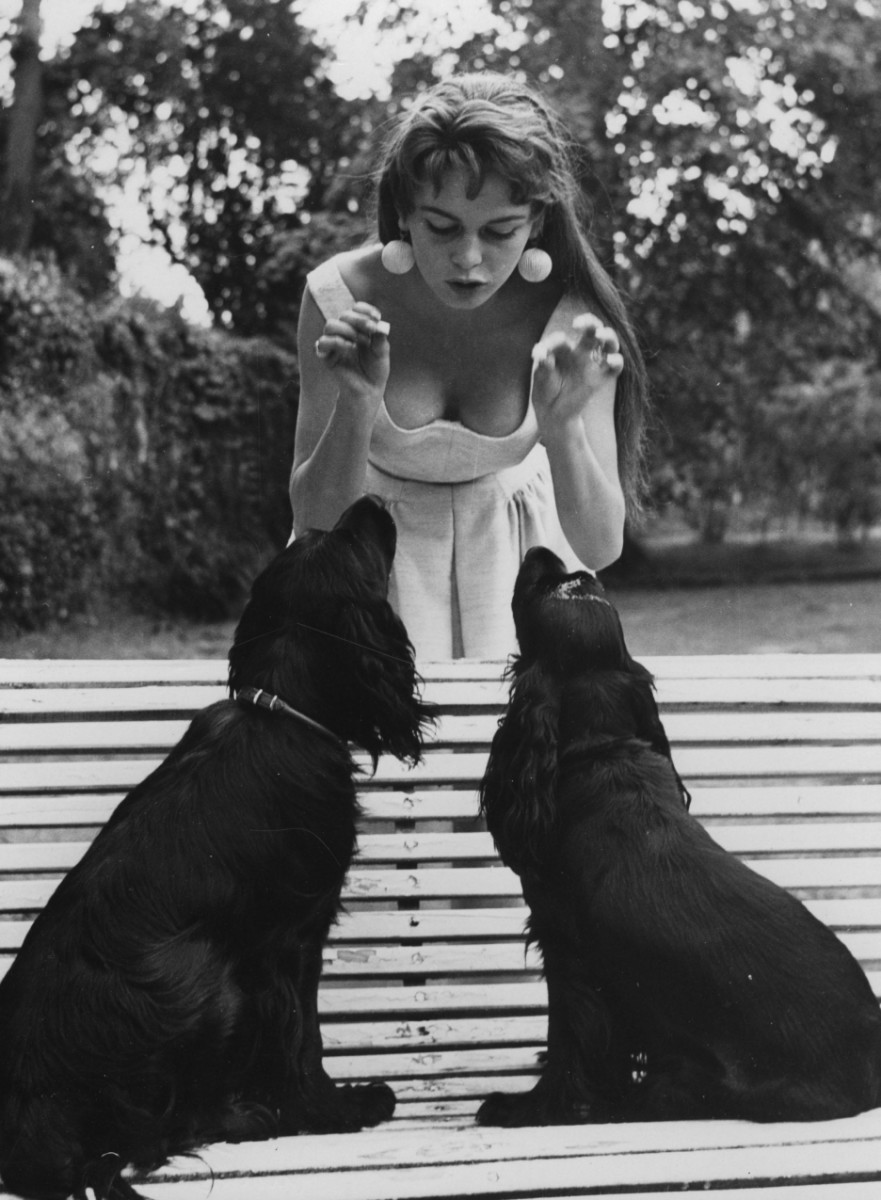 Brigitte Bardot: pic #362162
