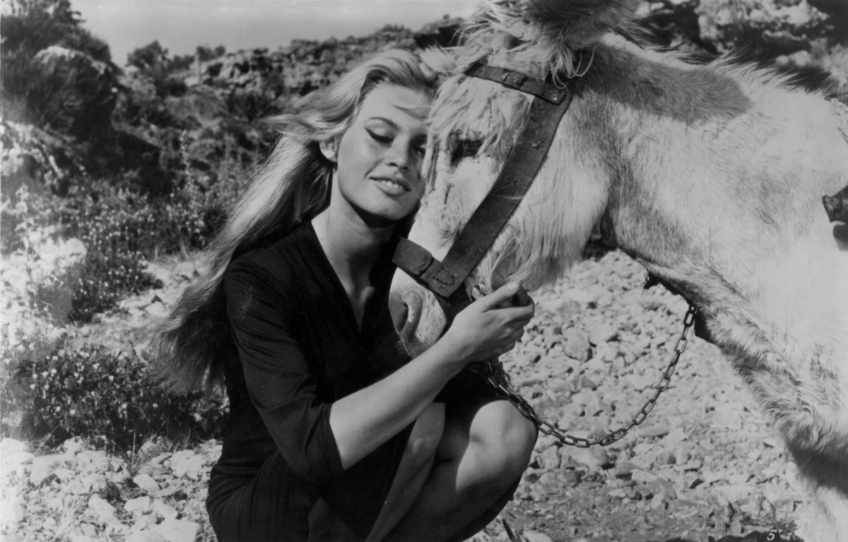 Brigitte Bardot: pic #411248