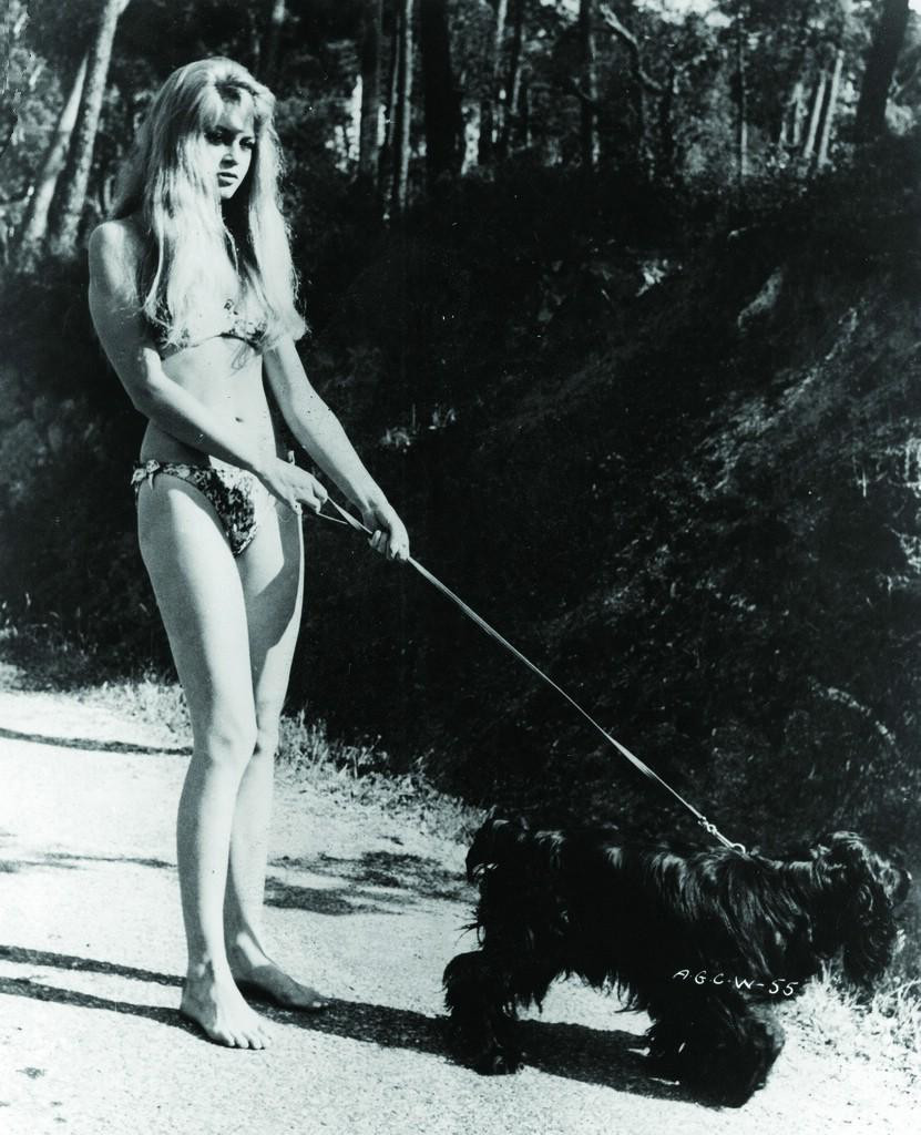 Brigitte Bardot: pic #457747