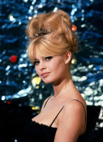 photo 23 in Brigitte Bardot gallery [id388755] 2011-06-30