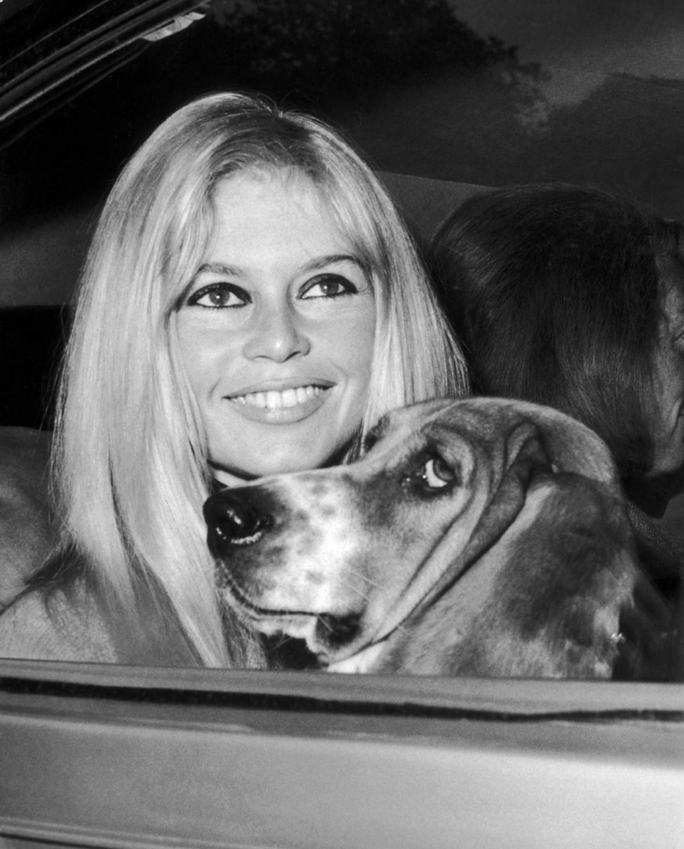 Brigitte Bardot: pic #379520
