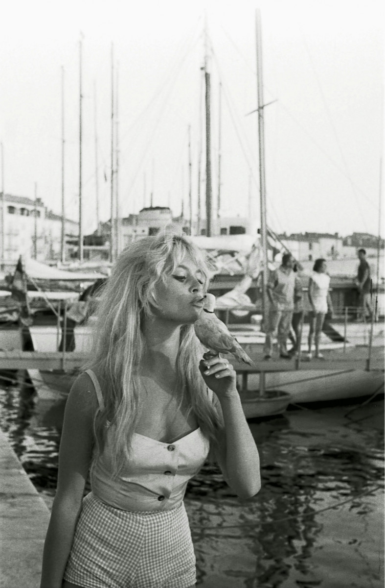 Brigitte Bardot: pic #368589