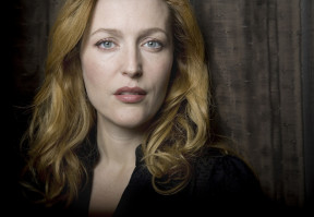 photo 25 in Gillian Anderson gallery [id223014] 2010-01-08