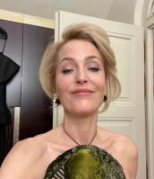 photo 19 in Gillian Anderson gallery [id1249495] 2021-03-06