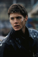 photo 17 in Ackles gallery [id573312] 2013-02-09