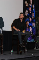photo 13 in Ackles gallery [id602512] 2013-05-14