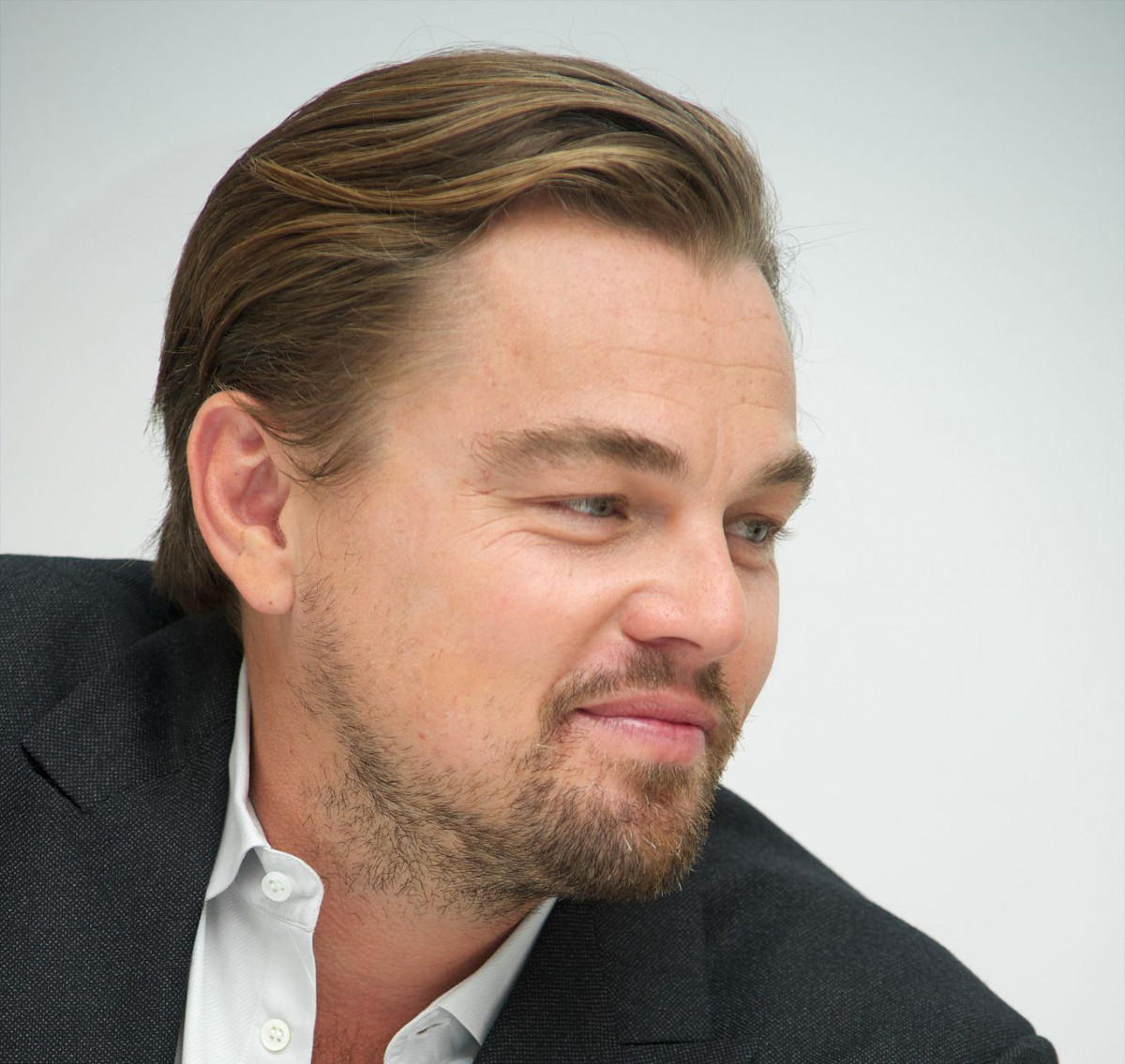 Leonardo DiCaprio: pic #827439