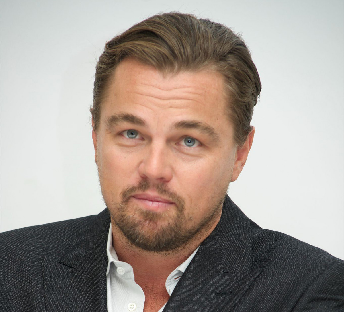 Leonardo DiCaprio: pic #828745