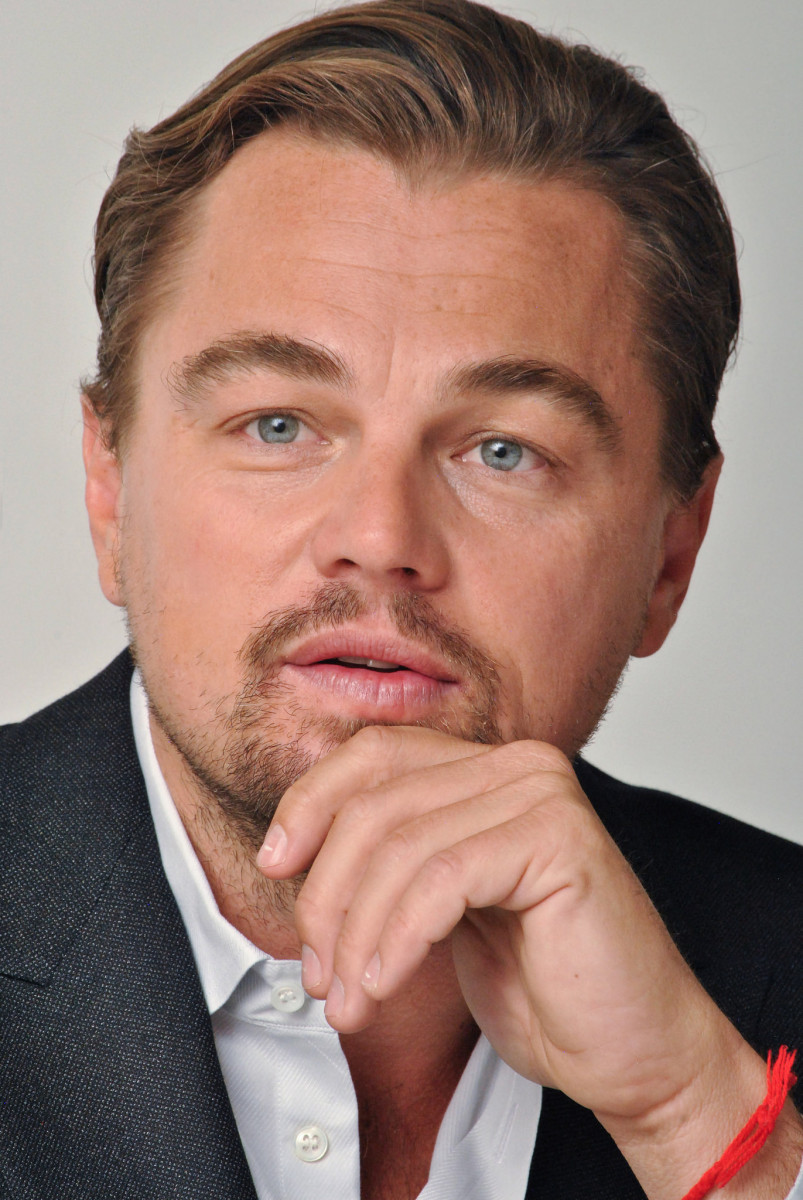 Leonardo DiCaprio: pic #830163