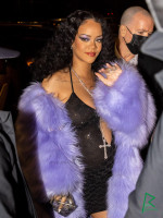 photo 16 in Rihanna gallery [id1299034] 2022-02-28