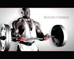 photo 5 in Ronnie Coleman gallery [id122385] 2008-12-26