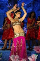 photo 5 in Shriya gallery [id441247] 2012-02-07