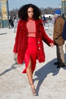 photo 29 in Solange Knowles gallery [id763930] 2015-03-13
