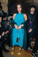photo 26 in Solange Knowles gallery [id763939] 2015-03-13