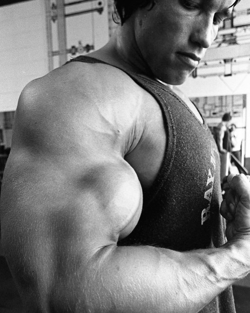 Arnold Schwarzenegger instagram post 485377