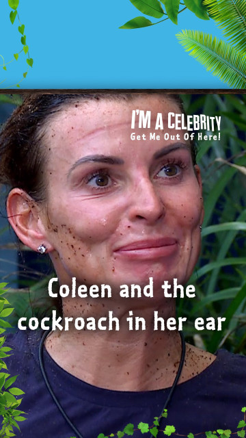 Coleen Rooney instagram post 482204