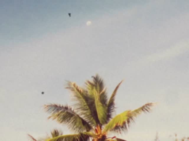 Lily Chee instagram post 490651