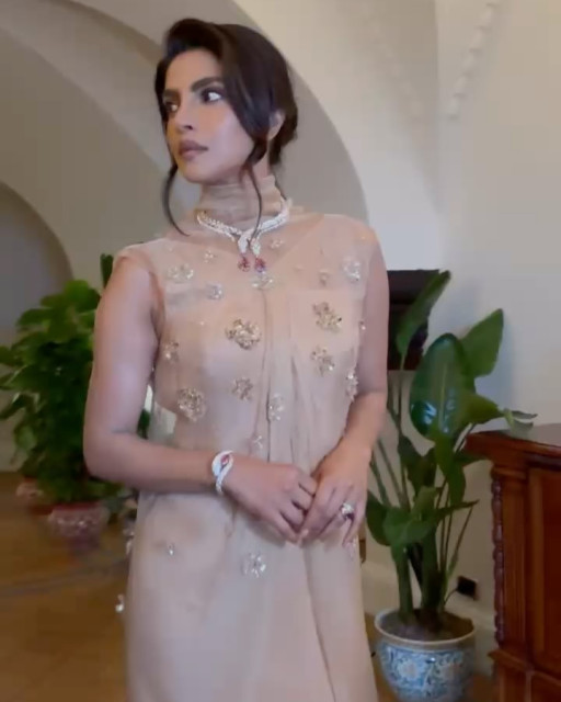 Priyanka Chopra instagram post 491077