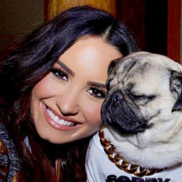 Demi Lovato And Doug The Poug Are Celebrating Her New Single