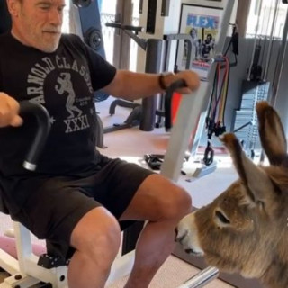 Arnold Schwarzenegger showed his training with a donkey