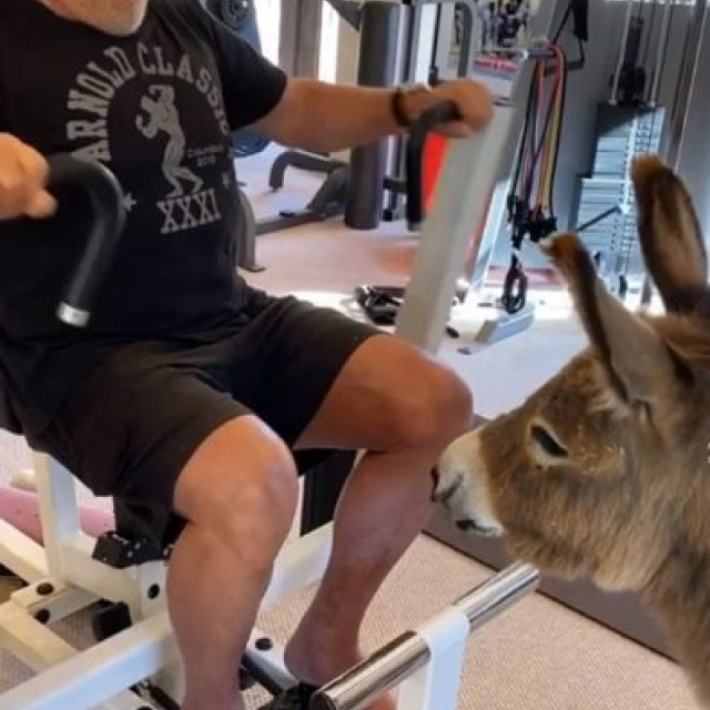 Arnold Schwarzenegger showed his training with a donkey