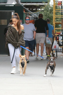 photo 12 in Ariana Grande gallery [id1072673] 2018-10-07 00:00:00