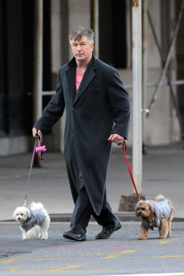 Alec Baldwin pic #590619