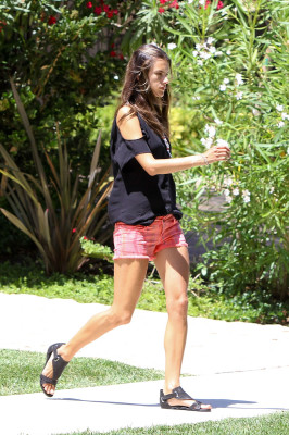Alessandra Ambrosio pic #527854