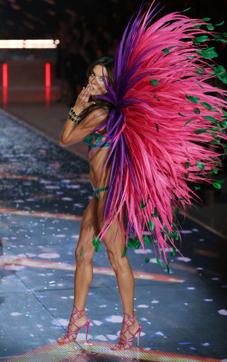 Alessandra Ambrosio pic #811631