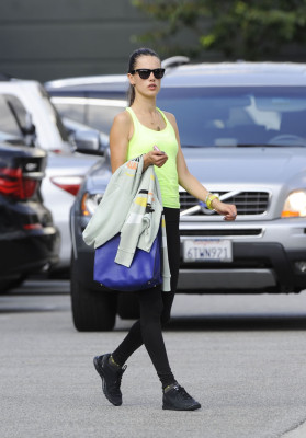 Alessandra Ambrosio pic #542787
