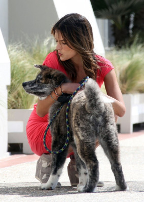 Alessandra Ambrosio pic #583066