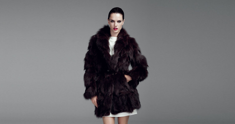 Alessandra Ambrosio pic #332163