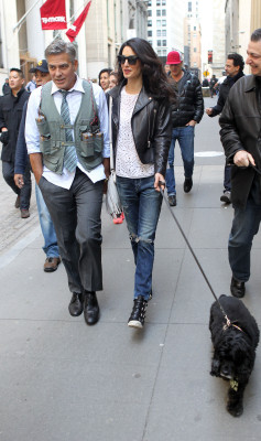 Amal Clooney pic #773376