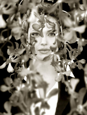 Angelina Jolie pic #50252
