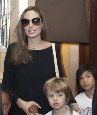 Angelina Jolie pic #508886